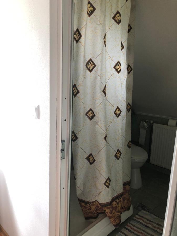 Pensiunea Felyviss Albac Exterior foto