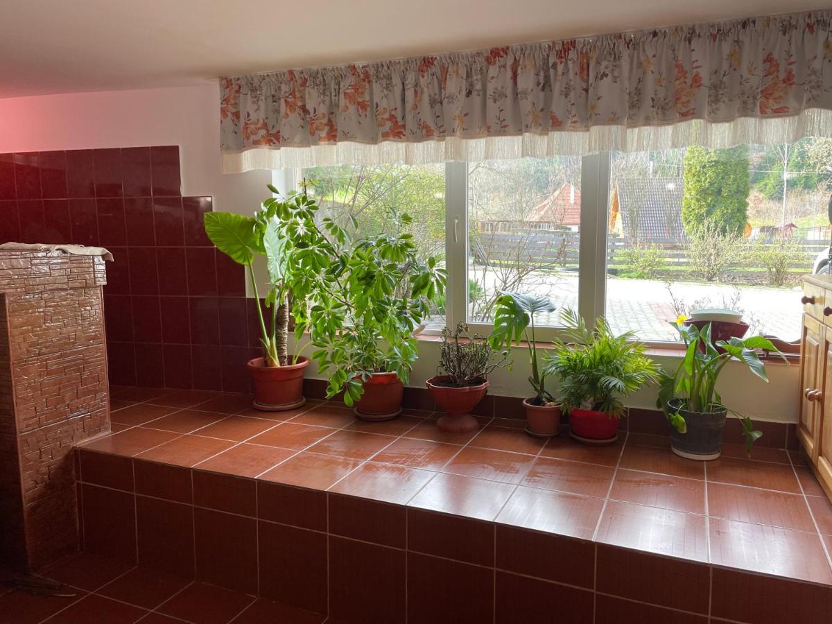 Pensiunea Felyviss Albac Exterior foto