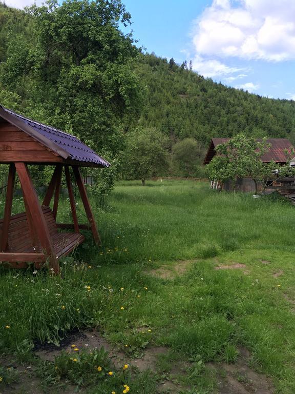 Pensiunea Felyviss Albac Exterior foto