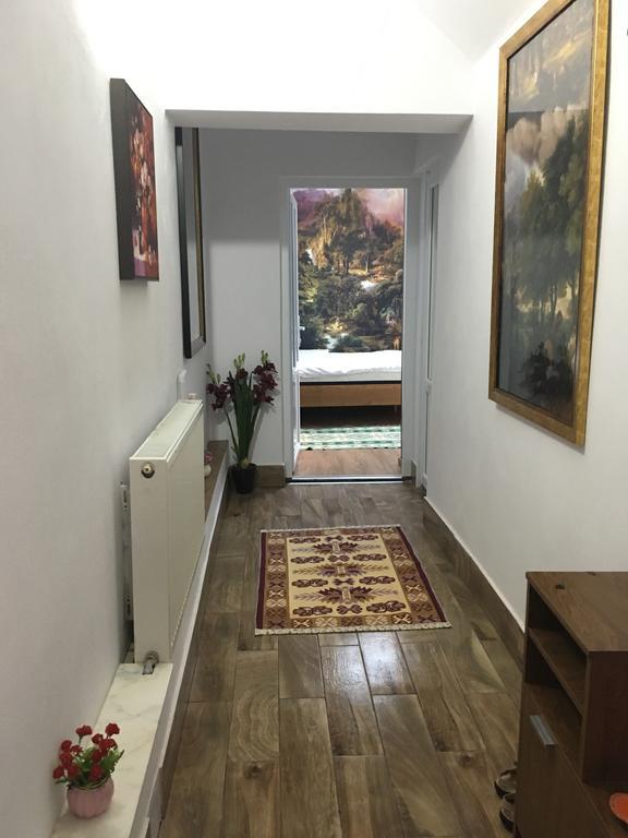 Pensiunea Felyviss Albac Exterior foto